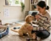 Puppy Care Guide Everything You Need to Know After Bringing a Puppy Home